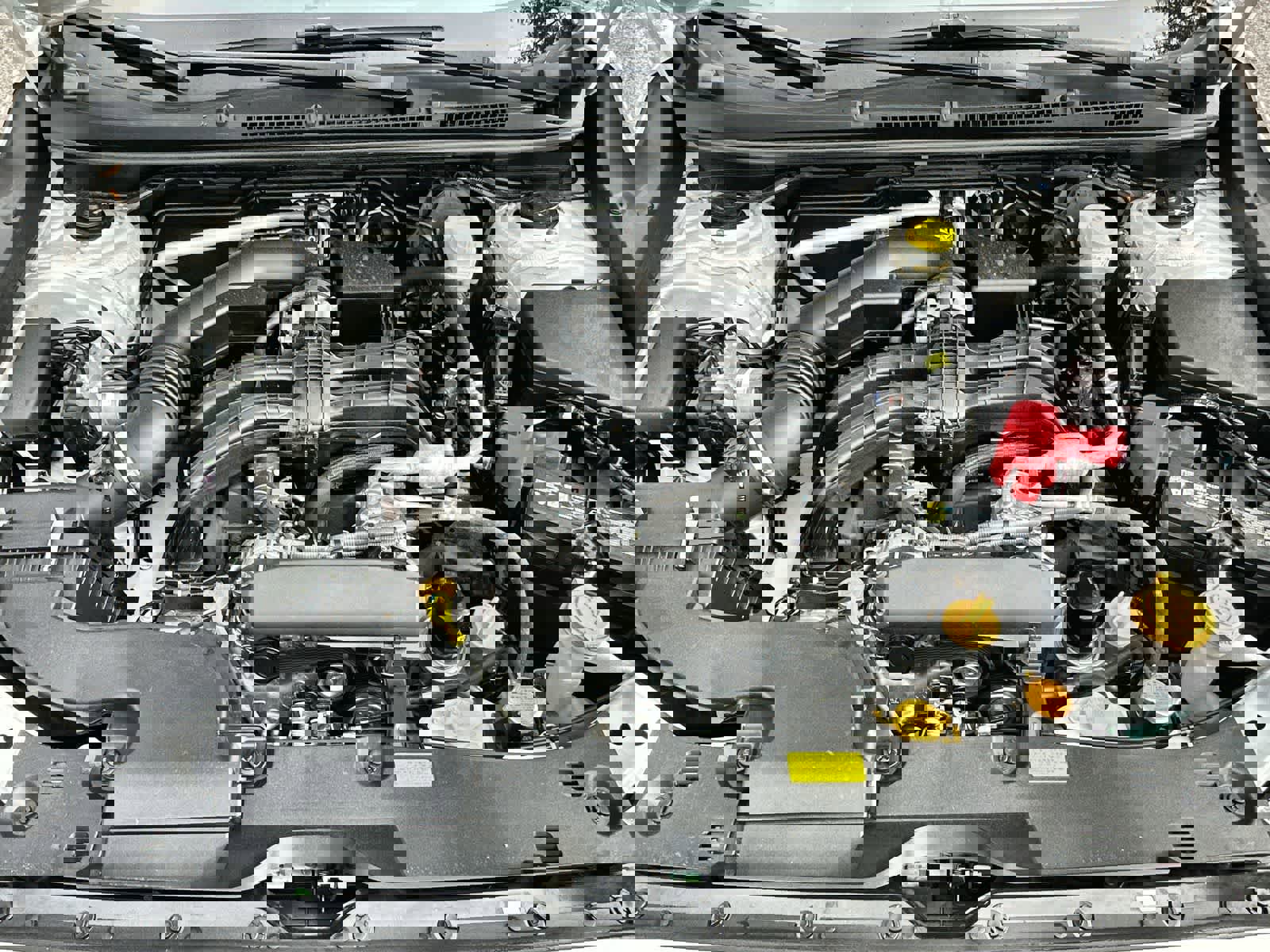 Used 2025 Subaru Crosstrek 2.5i Wilderness w/ Wilderness Package AWD/4WD image 13