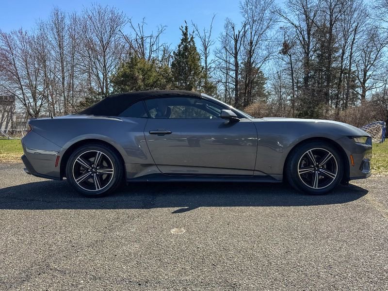 Used 2024 Ford Mustang Premium RWD image 4