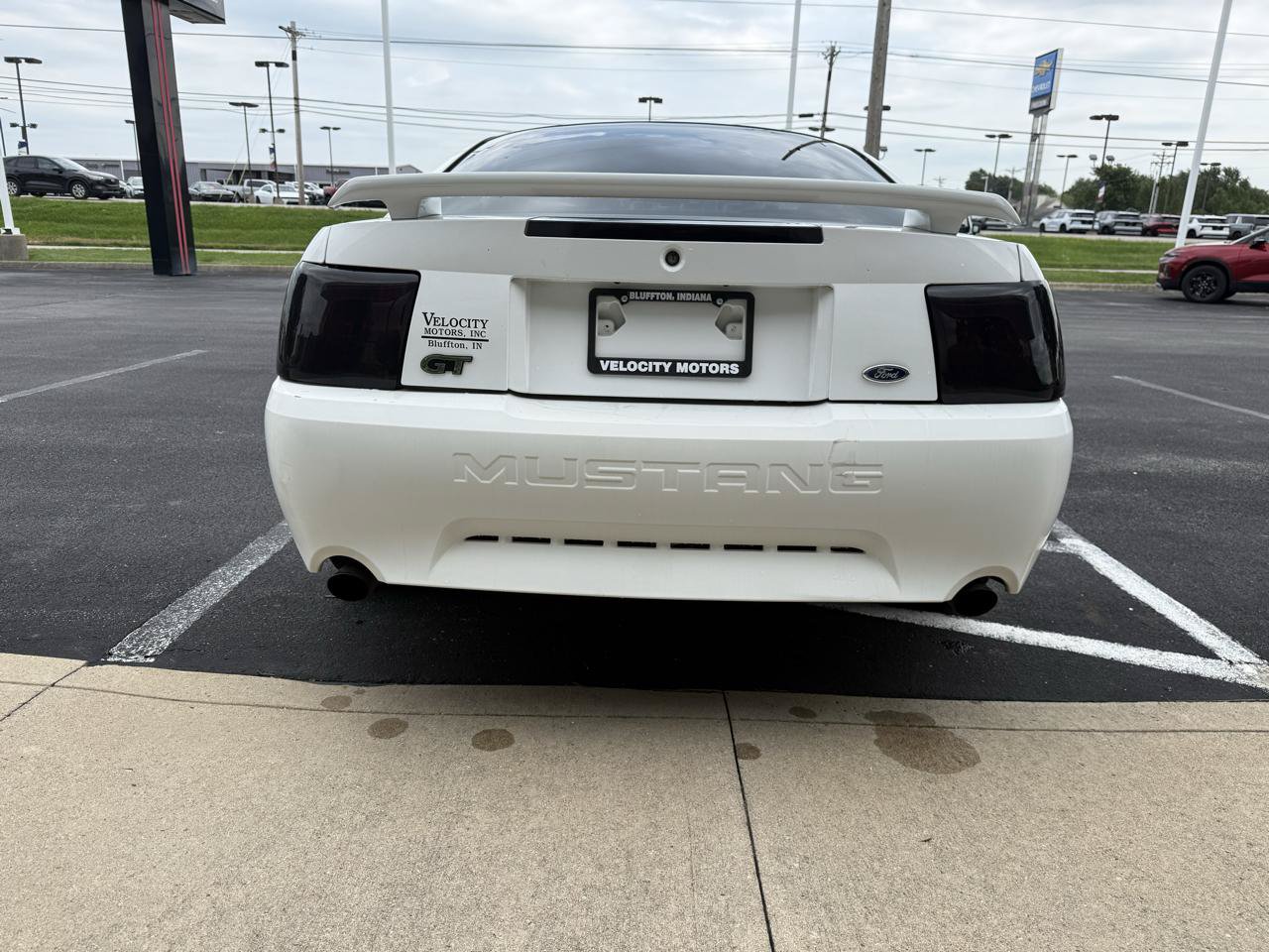 Used 2001 Ford Mustang GT RWD image 4
