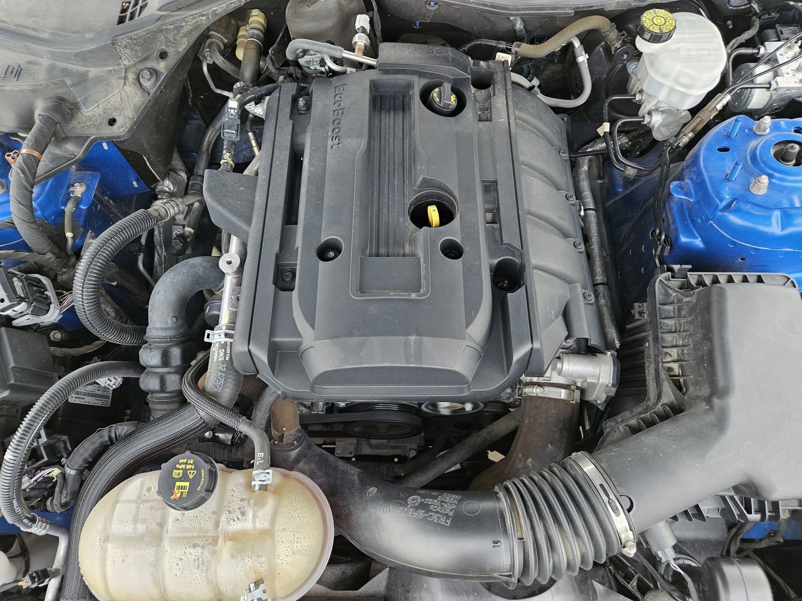 Used 2020 Ford Mustang Coupe w/ Equipment Group 101A RWD image 30