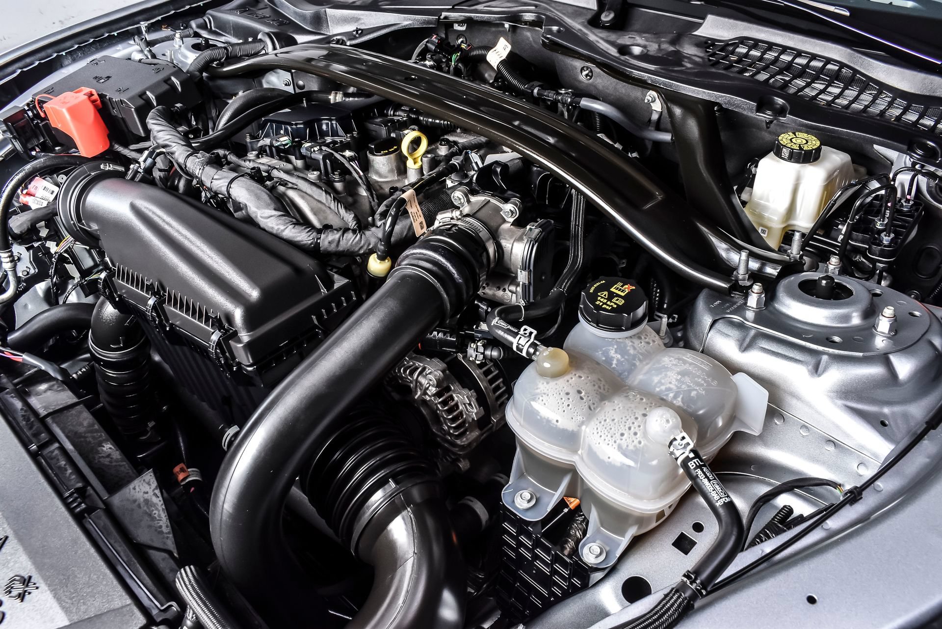 Used 2025 Ford Mustang Premium RWD image 15