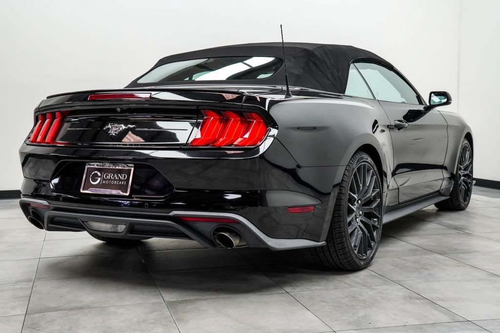 Used 2019 Ford Mustang Premium w/ Equipment Group 201A RWD image 10