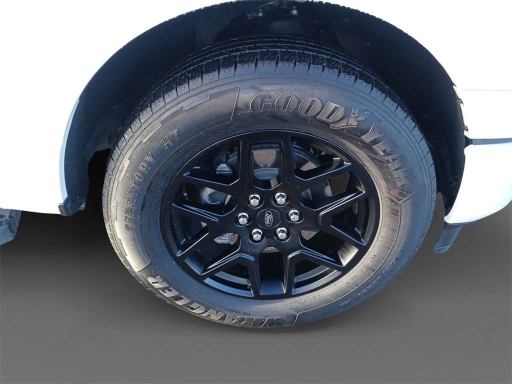 Used 2024 Ford F150 STX w/ STX Black Appearance Package image 16