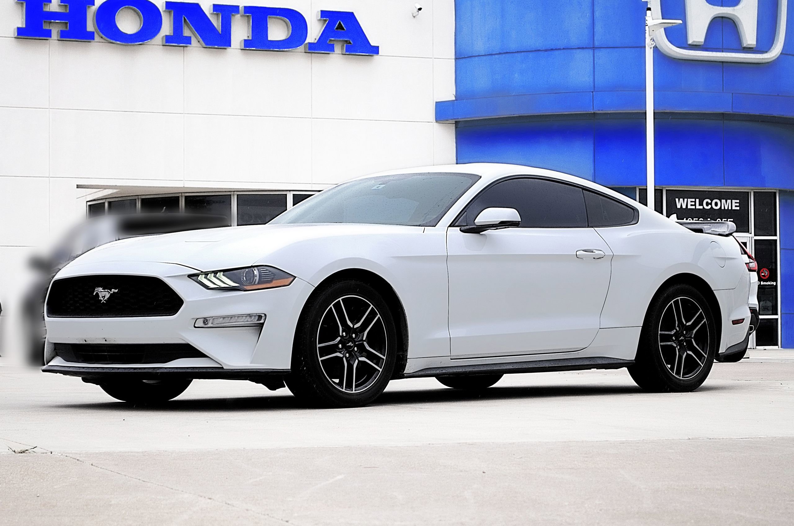 Used 2019 Ford Mustang Premium