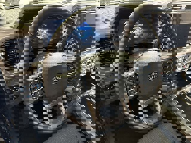 New 2025 Ford F150 XLT w/ Equipment Group 302A MID image 19