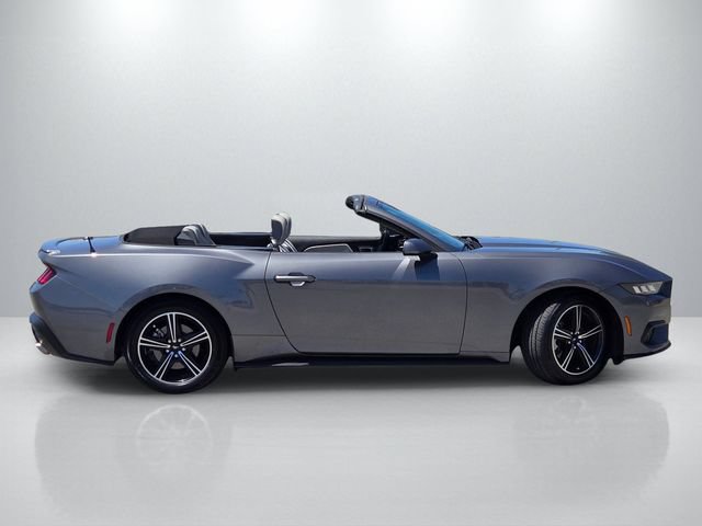 Used 2024 Ford Mustang Premium RWD image 3