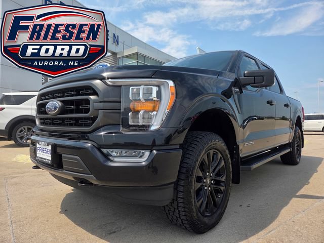 Used 2023 Ford F150 XLT w/ Equipment Group 302A High