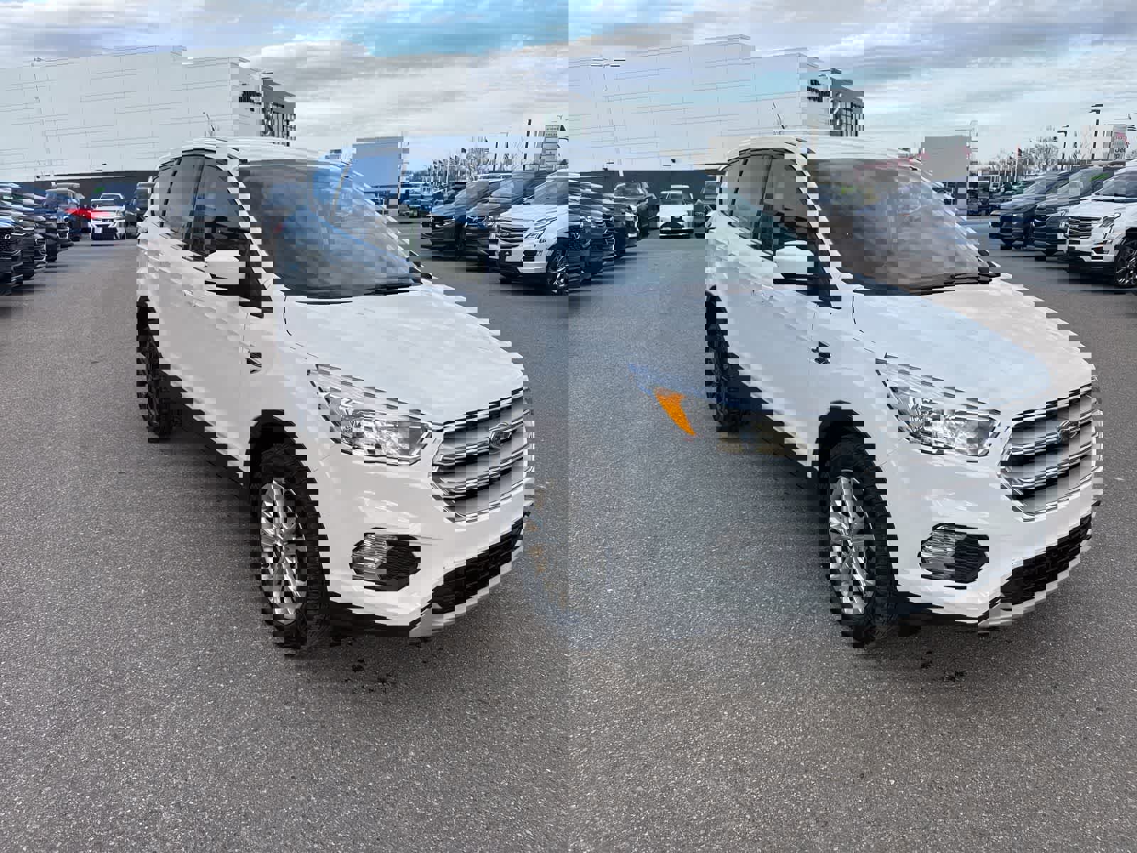 Used 2019 Ford Escape SE image 3