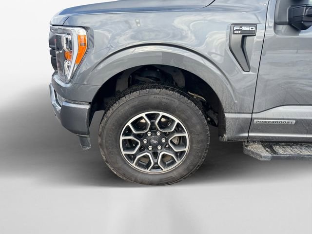 Used 2023 Ford F150 XLT w/ Equipment Group 302A High image 14
