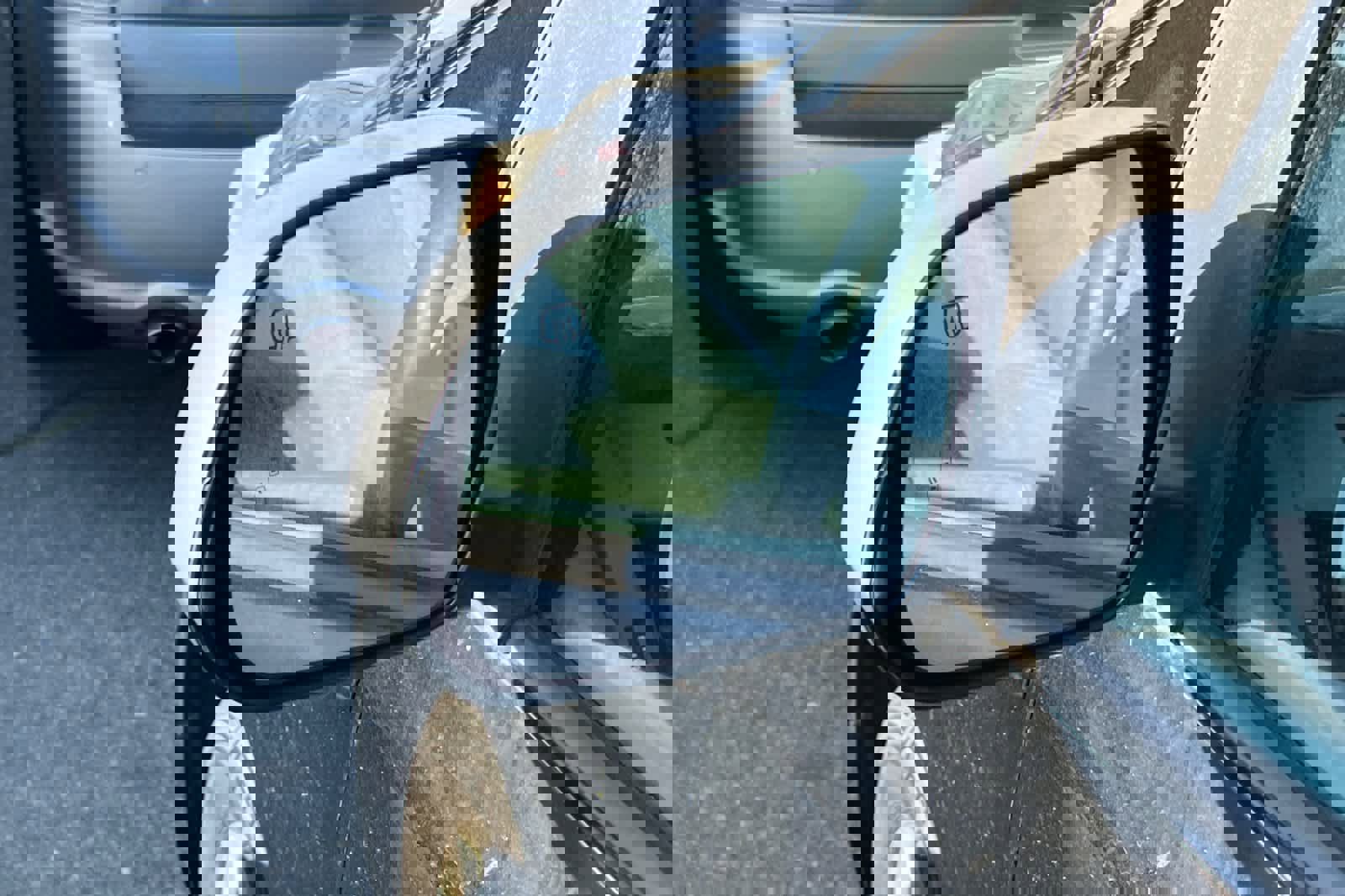 Used 2015 Toyota Sienna XLE image 8