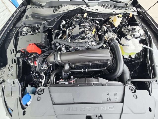Used 2026 Ford Mustang Coupe image 12