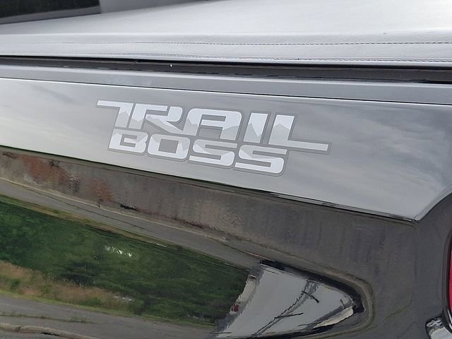 Certified 2024 Chevrolet Silverado 1500 LT Trail Boss w/ Convenience Package II AWD/4WD image 31