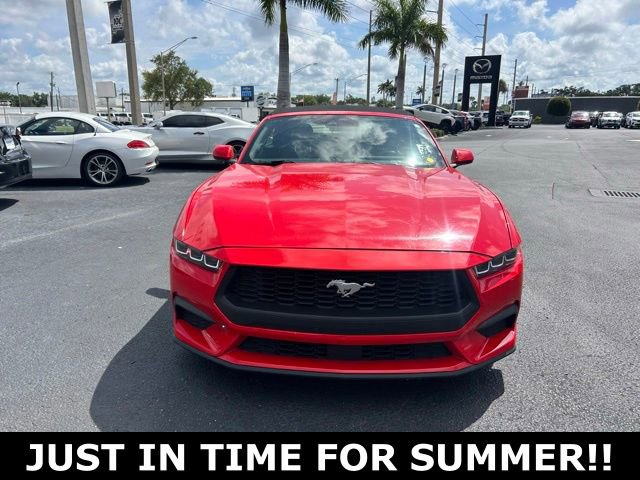 Used 2024 Ford Mustang Premium RWD image 2