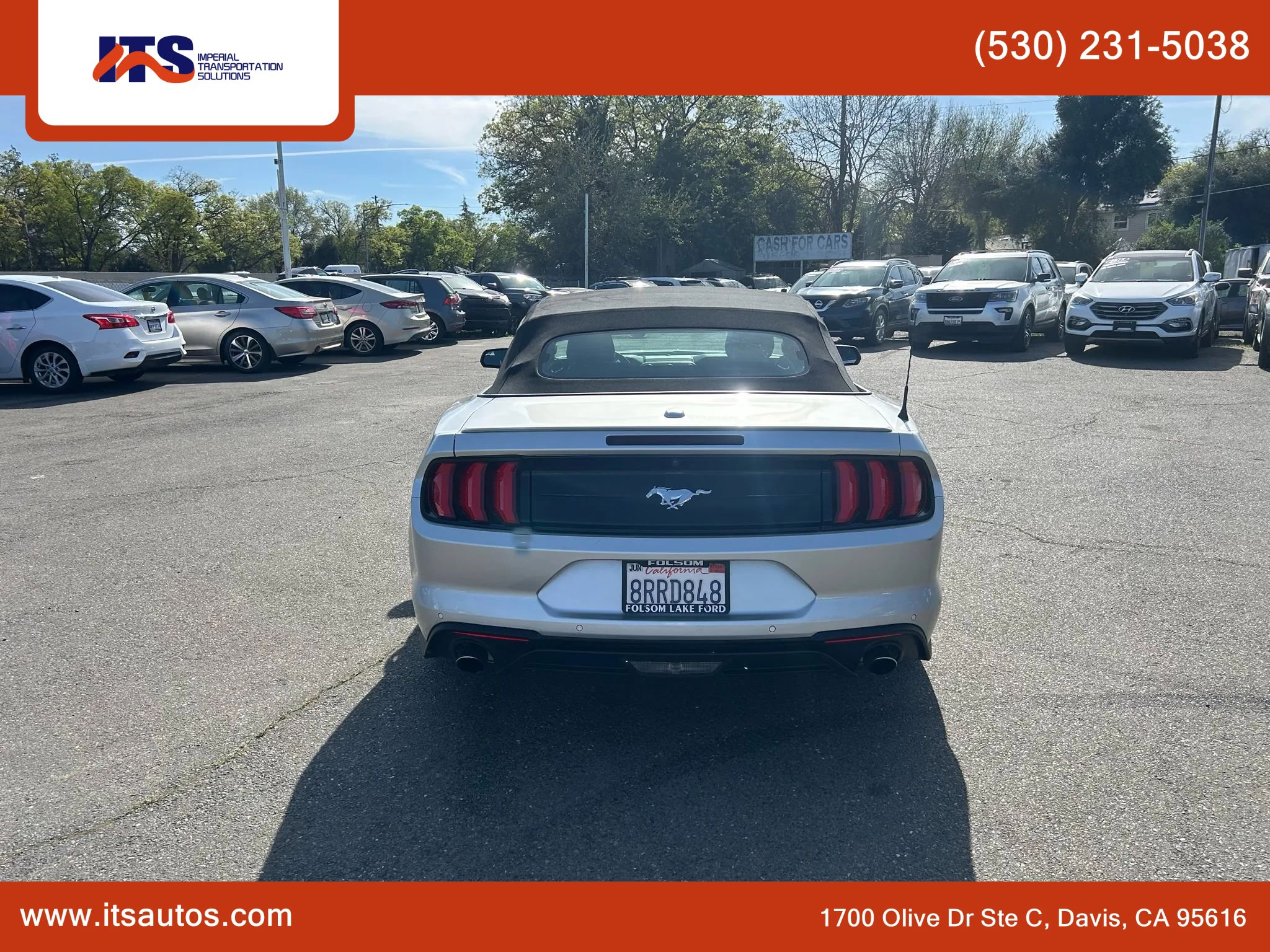 Used 2019 Ford Mustang Premium w/ Equipment Group 201A image 20