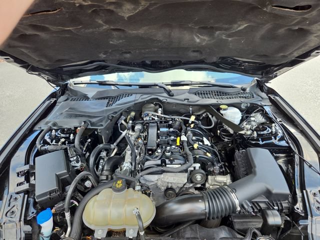 Used 2023 Ford Mustang Premium RWD image 20
