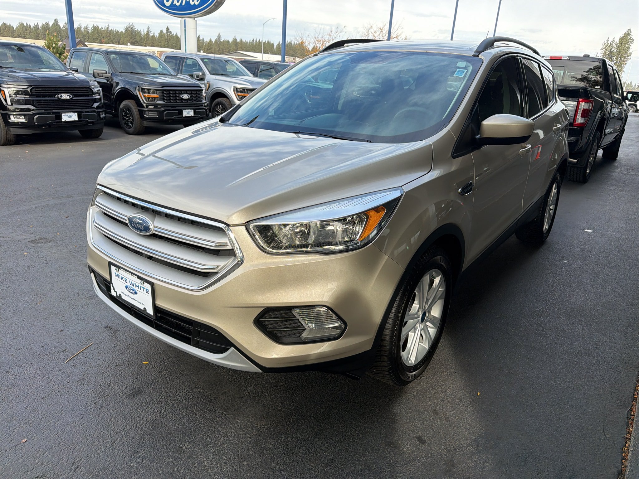 Used 2018 Ford Escape SE FWD image 3