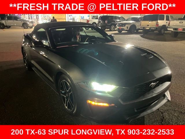 Used 2019 Ford Mustang Premium video 1