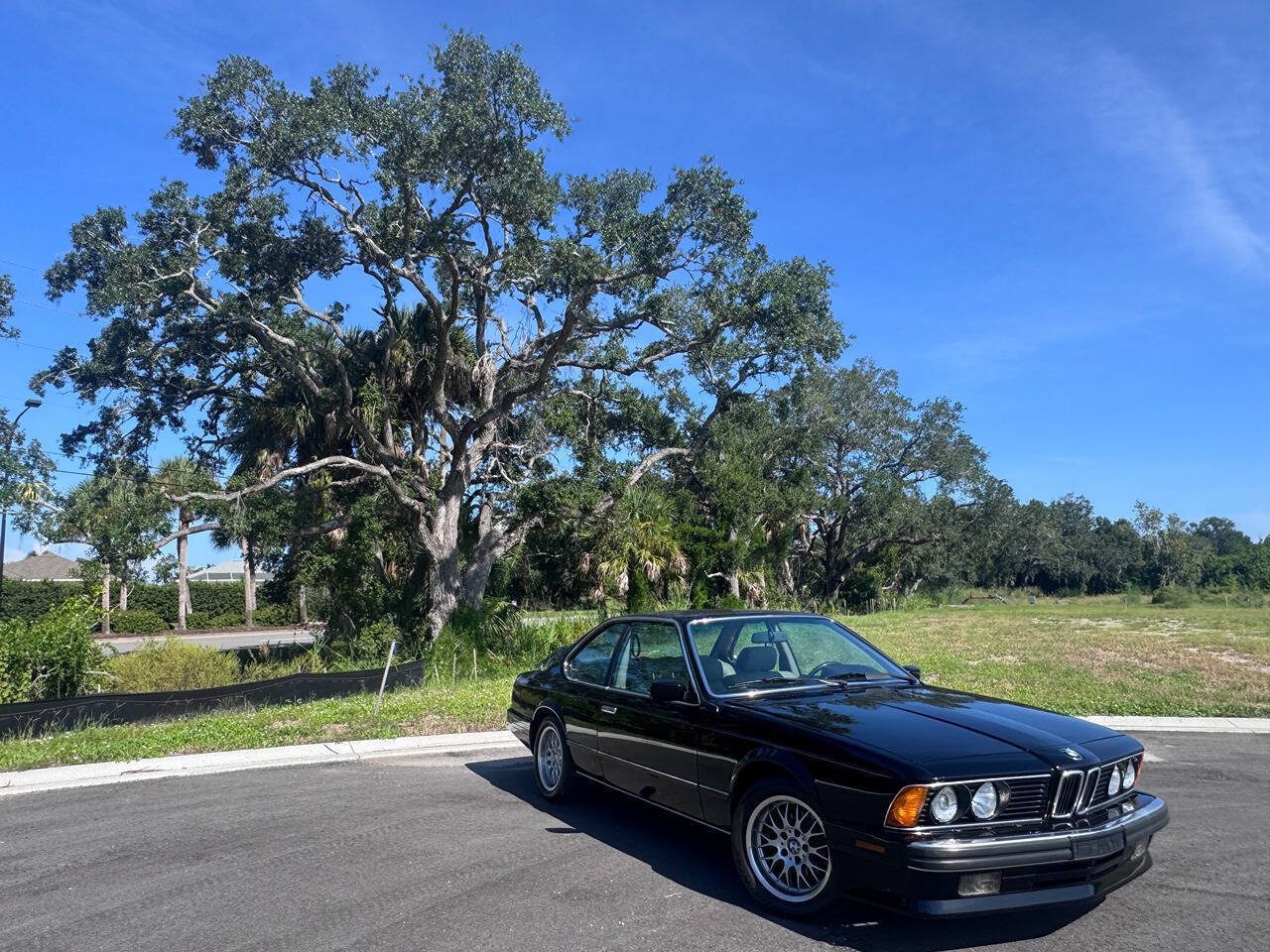Used 1988 BMW 635CSi Coupe RWD image 12