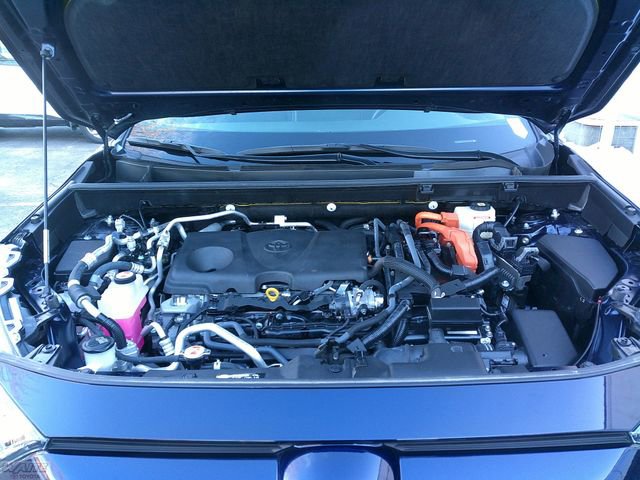 Used 2023 Toyota RAV4 SE w/ Weather & Moonroof Package image 7