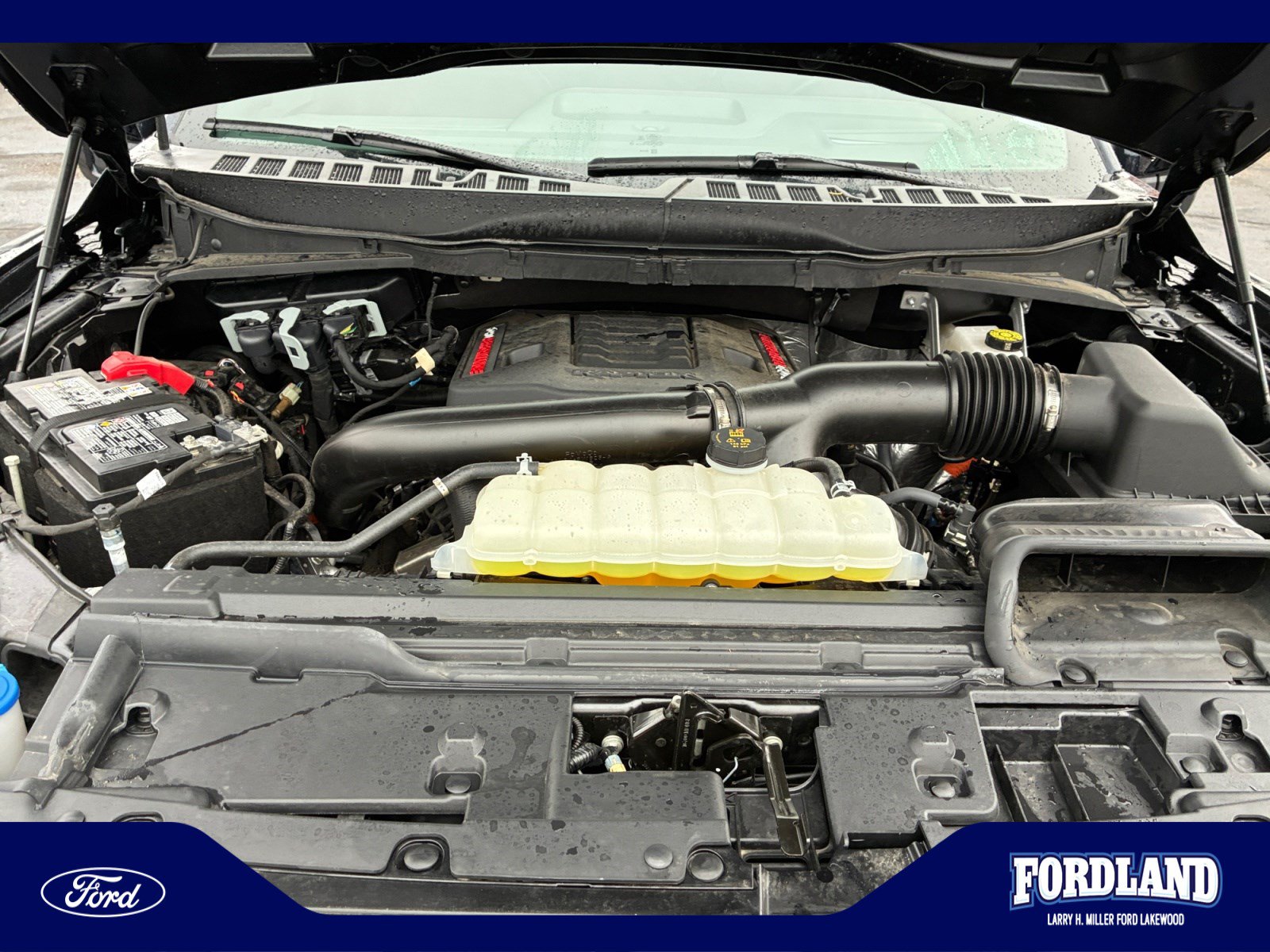 Used 2025 Ford F150 Raptor AWD/4WD image 22