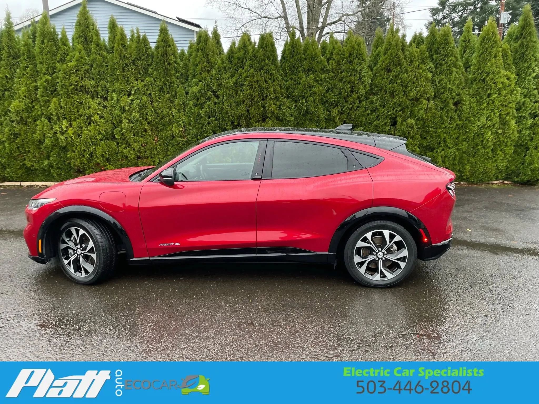 Used 2021 Ford Mustang Mach-E Premium image 6