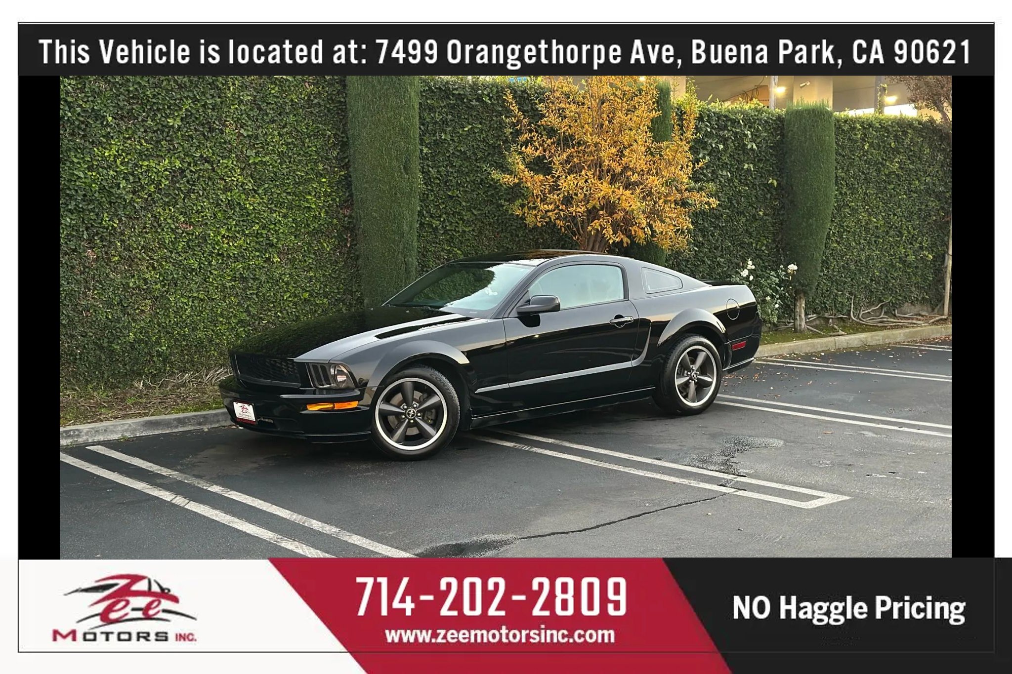 Used 2009 Ford Mustang GT Premium image 47