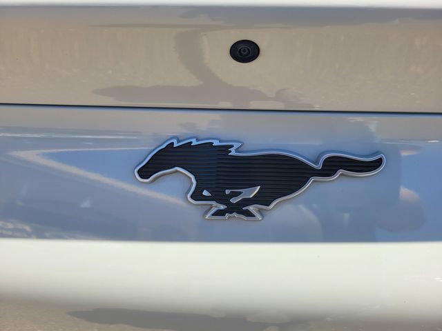 Certified 2022 Ford Mustang Mach-E Select RWD image 7