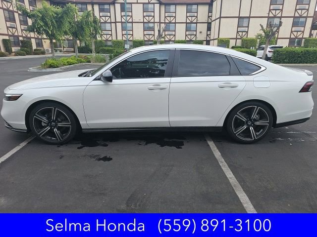 Certified 2024 Honda Accord Sport image 5