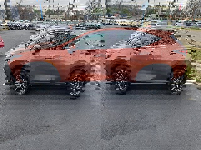 Certified 2025 Lexus NX 350 AWD w/ Premium Package image 6