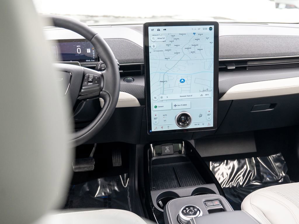 Used 2021 Ford Mustang Mach-E Premium image 19