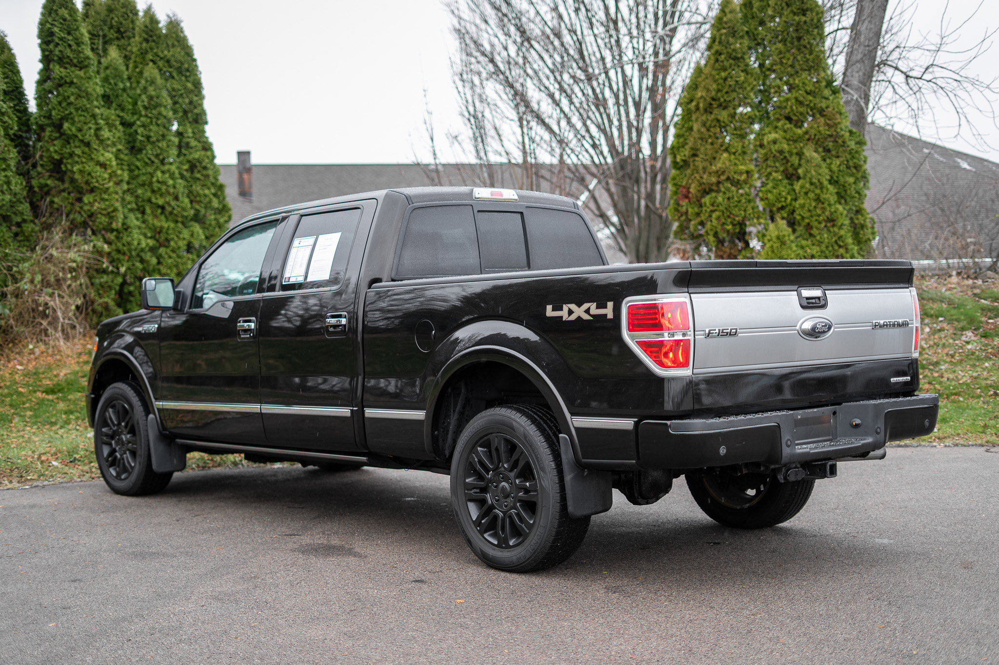 Used 2014 Ford F150 Platinum image 8