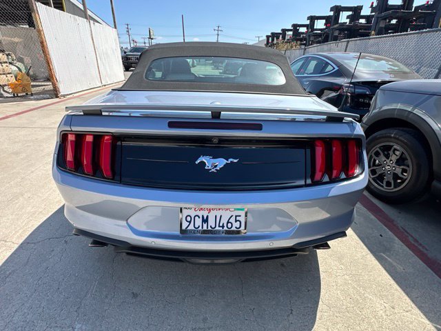 Used 2022 Ford Mustang Premium w/ Coastal Limited Package RWD image 8