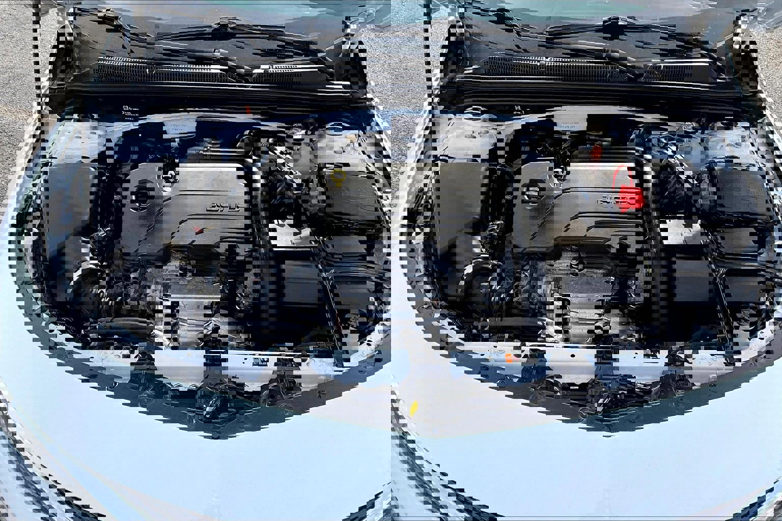 Used 2022 Chevrolet Malibu LT image 21