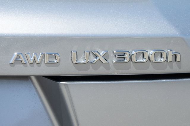 Used 2025 Lexus UX 300h AWD w/ Cold Area Package image 5