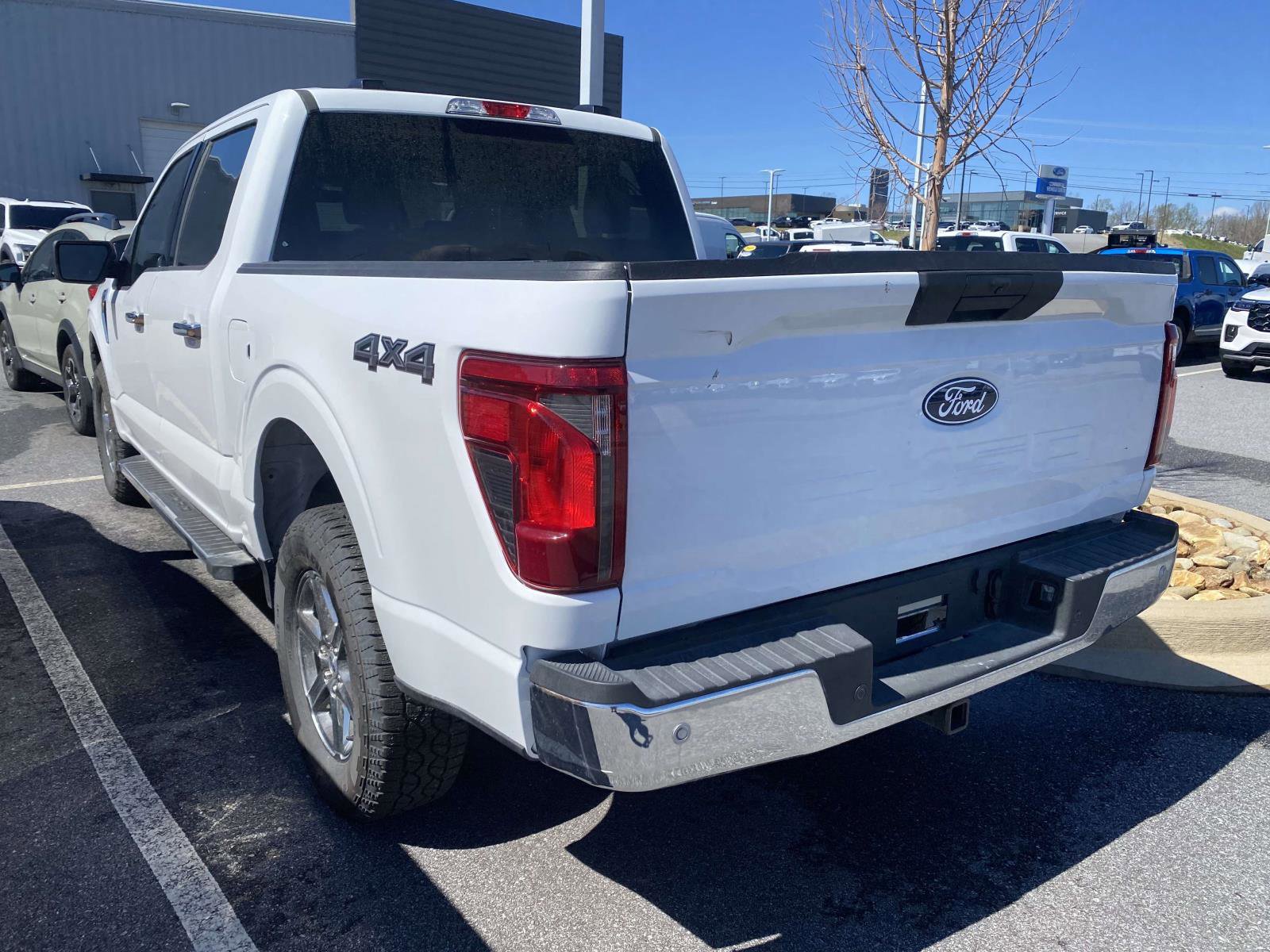 Used 2025 Ford F150 XLT w/ Equipment Group 301A Standard AWD/4WD image 7