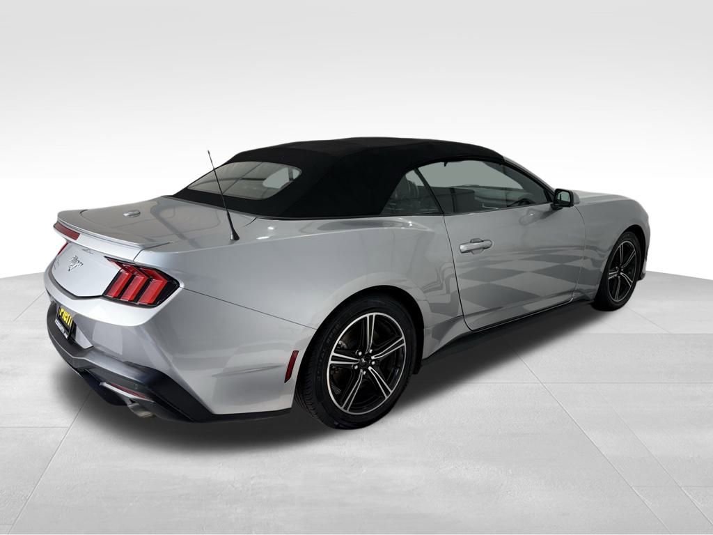 Used 2024 Ford Mustang Premium image 6