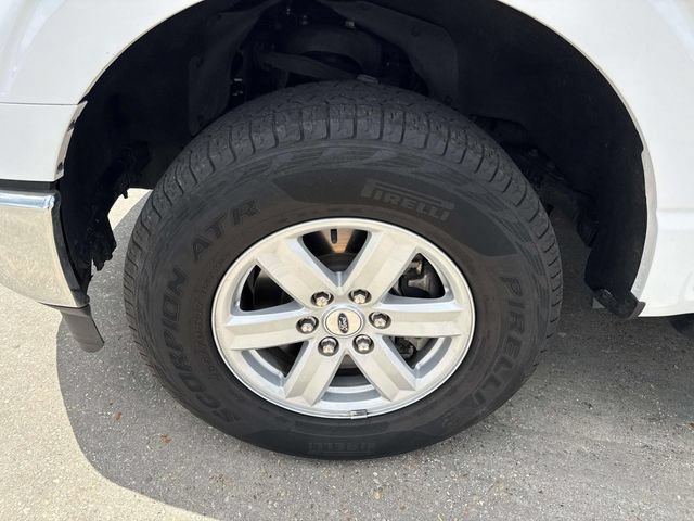 Used 2023 Ford F150 XLT w/ Equipment Group 301A Mid AWD/4WD image 5
