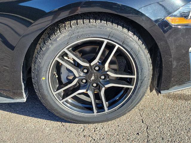 Certified 2020 Ford Mustang Premium RWD image 8