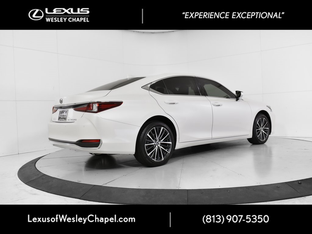 Used 2023 Lexus ES 250 w/ Premium Package image 6
