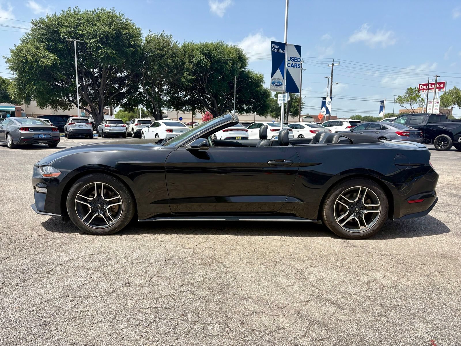Used 2018 Ford Mustang Premium w/ Equipment Group 201A RWD image 4