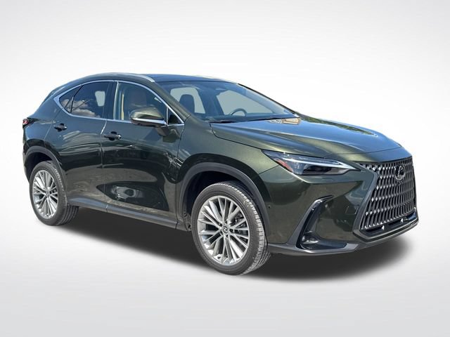 Used 2025 Lexus NX 350 AWD w/ Cold Area Package image 9