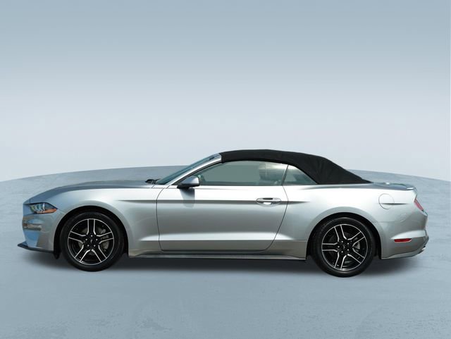 Used 2023 Ford Mustang Premium image 4