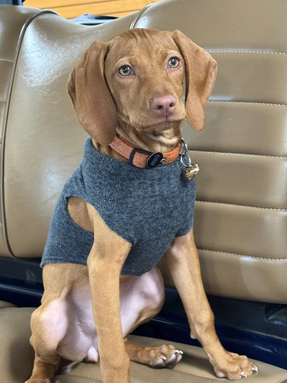 Used 2025 Kia Soul LX image 39