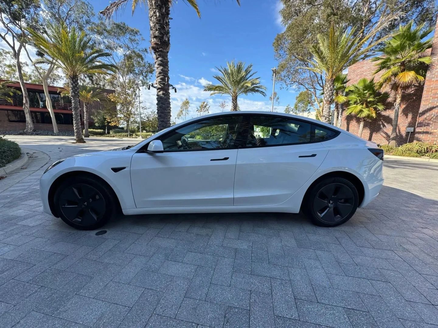 Used 2021 Tesla Model 3 Standard Range Plus RWD image 4