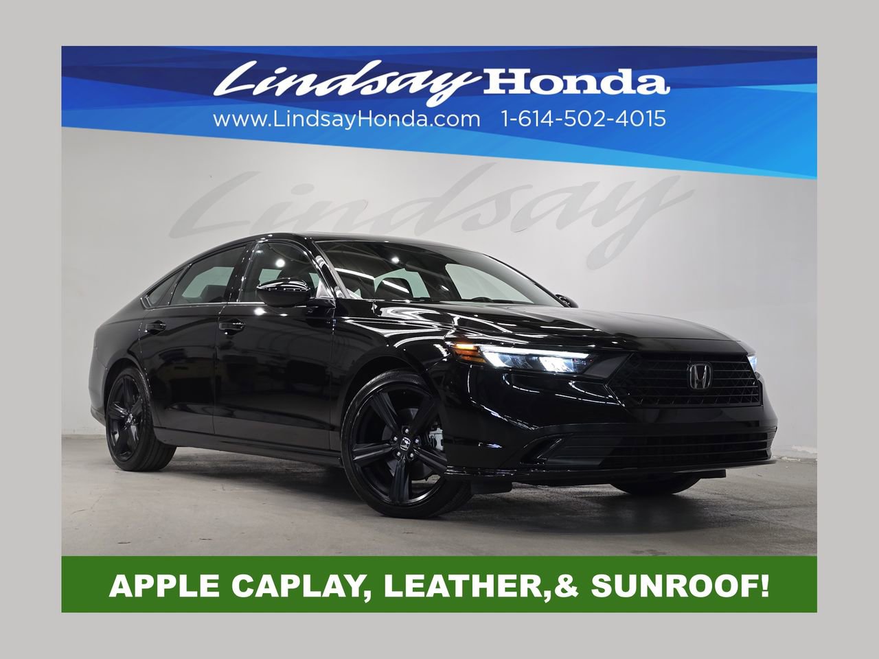 Used 2025 Honda Accord Sport image 1