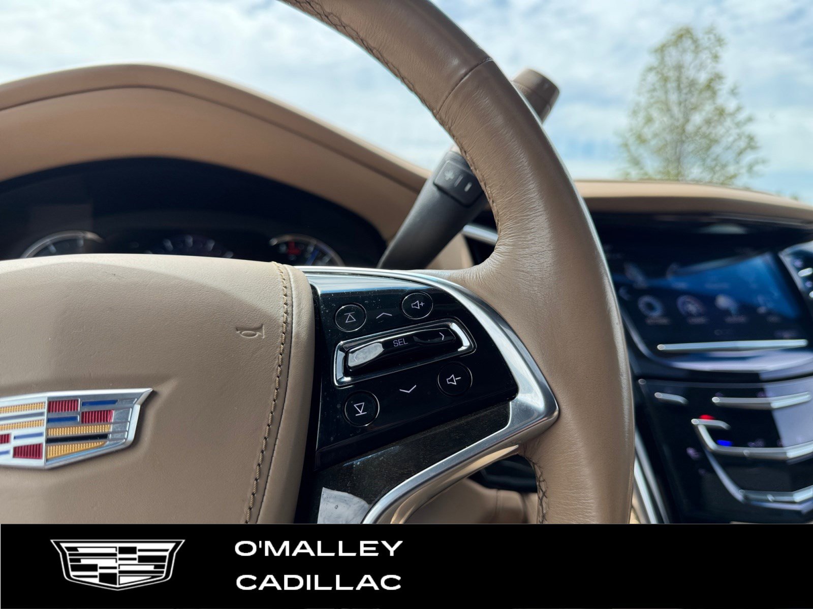 Used 2020 Cadillac Escalade Platinum AWD/4WD image 17