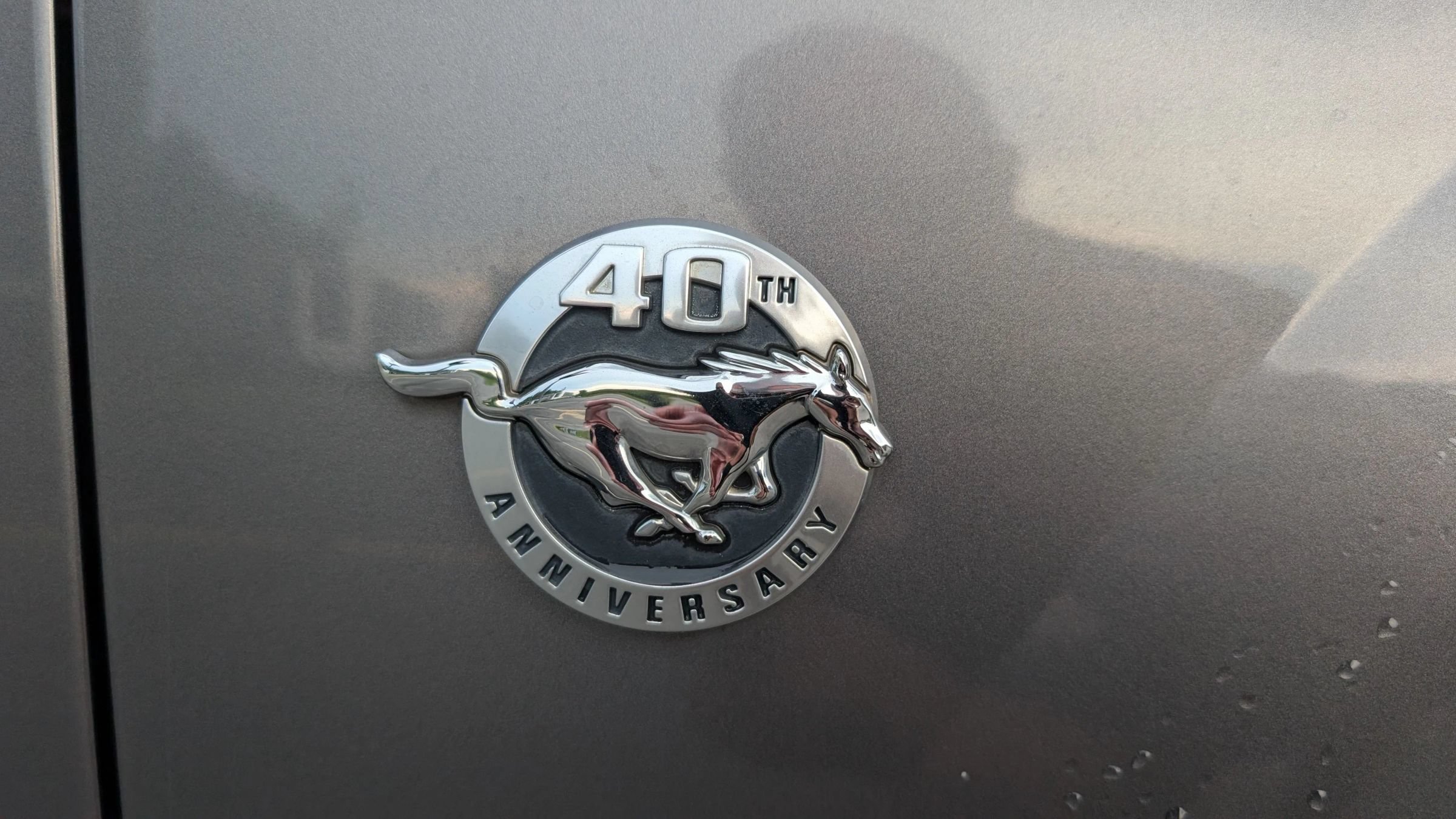 Used 2004 Ford Mustang Mach 1 RWD image 20