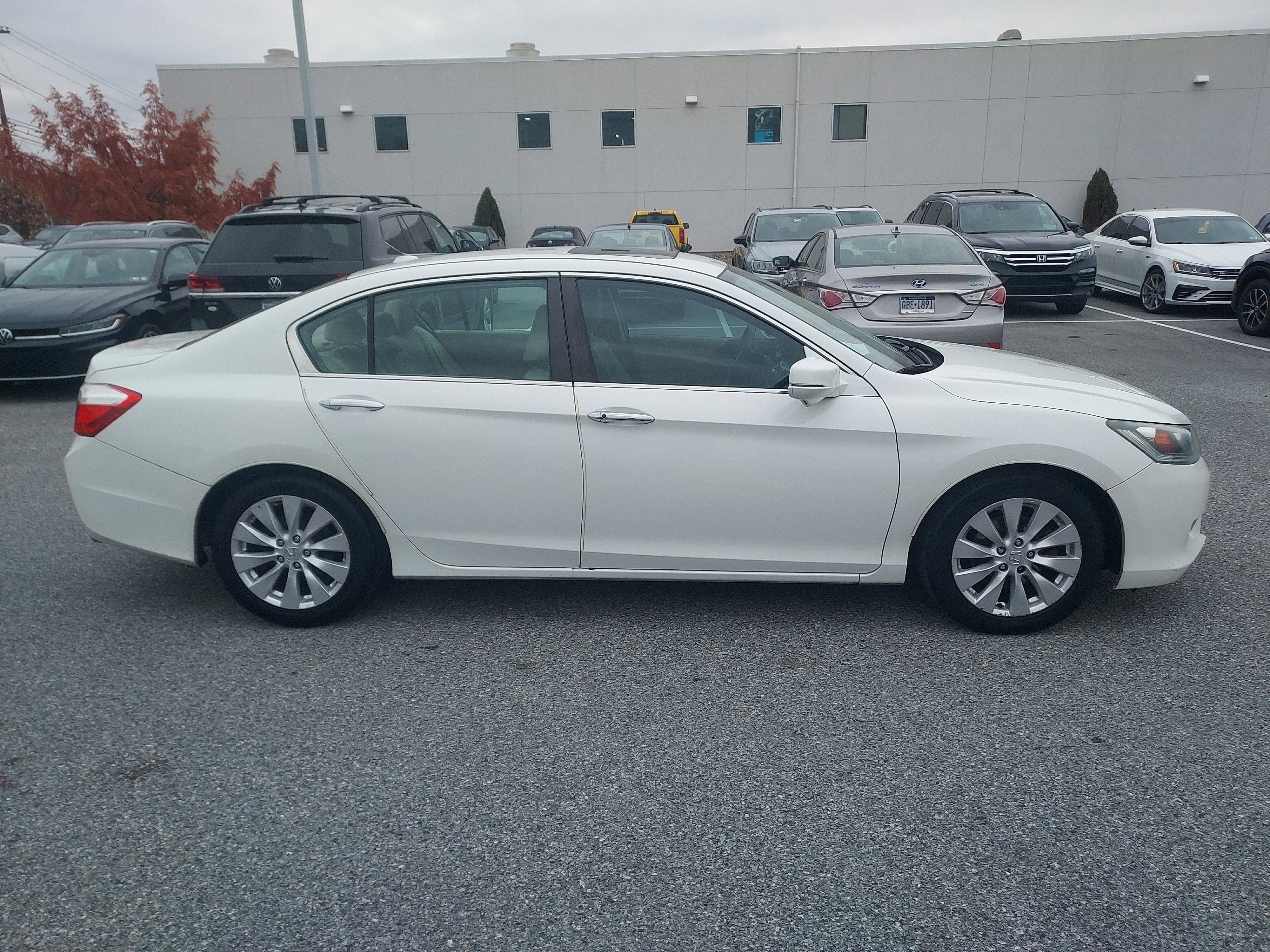 Used 2014 Honda Accord EX-L image 4