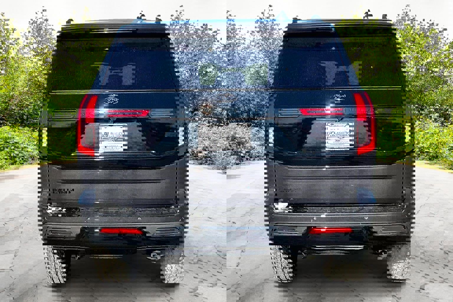 New 2026 Ford Expedition Platinum w/ Stealth Appearance Package image 4