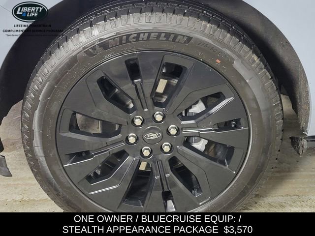 Used 2025 Ford Expedition Max Platinum w/ Stealth Appearance Package image 10